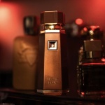 Liquid Brun | French Avenue