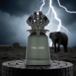 Thunder Extrait | French Avenue